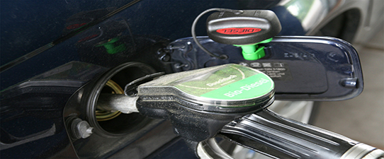 Pequenas usinas terão incentivo para participar de leilões de biodiesel