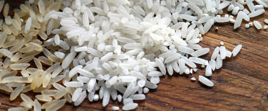 Cooperativas do RS figuram entre as 50 maiores indústrias de arroz