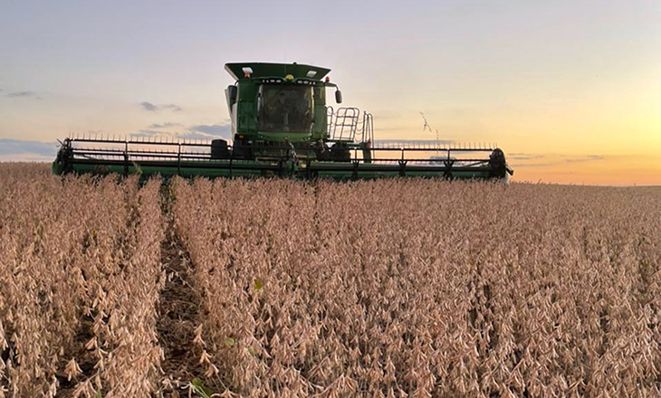 Custos das culturas de soja e milho sobem acima de 25% na próxima safra