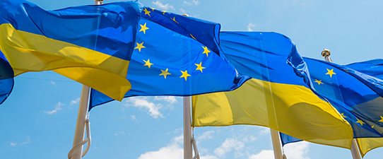 Guerra na Ucrânia: Apelo lançado para ajudar cooperativas de crédito no caminho do ataque russo