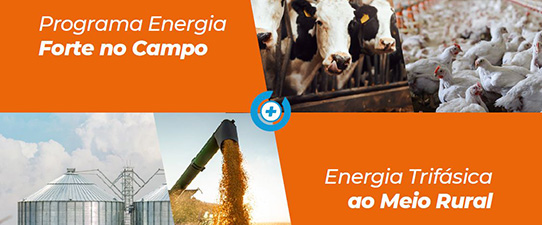 Terceira etapa do Energia Forte no Campo prevê investimentos R$ 31 milhões na área de atuação da Coprel