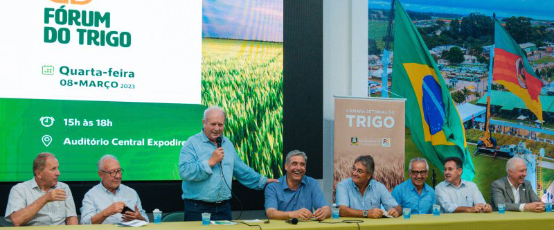 Fórum debate caminhos para consolidar crescimento da cultura do trigo