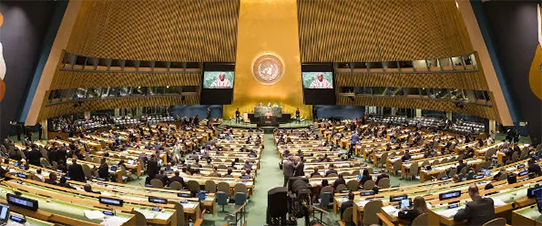 ONU proclama 2025 Ano Internacional das Cooperativas